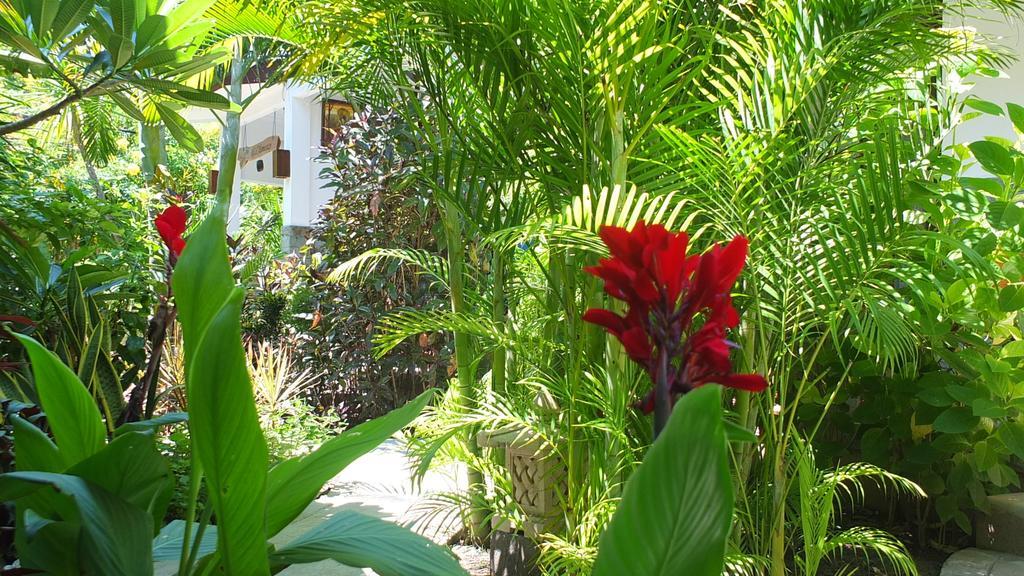 Ricel Homestay Gili Trawangan Eksteriør billede